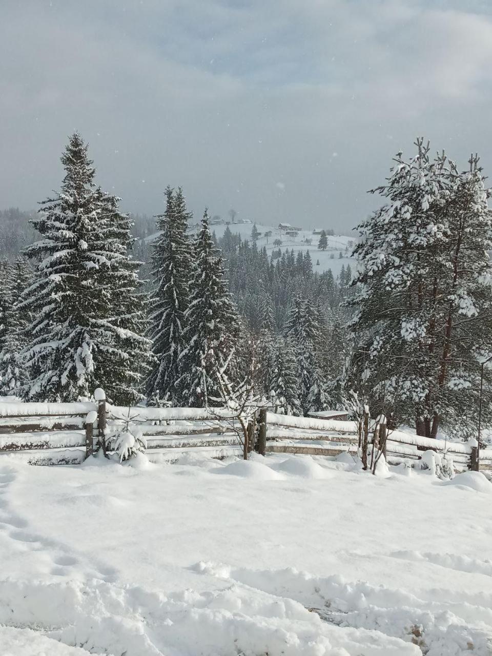 Котеджі Зоряне Небо バコヴェル エクステリア 写真